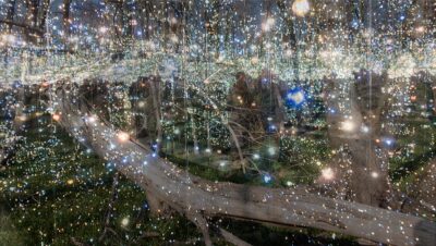 Zwischenraum IV 156x9056 Baum mit Lichter