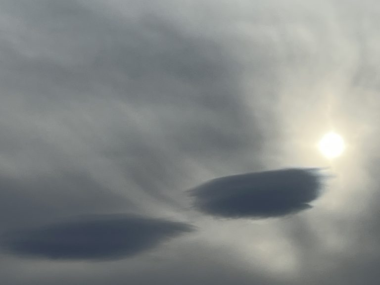 Vilas Turske – Meditation und Selbsterkenntnis im Workshop