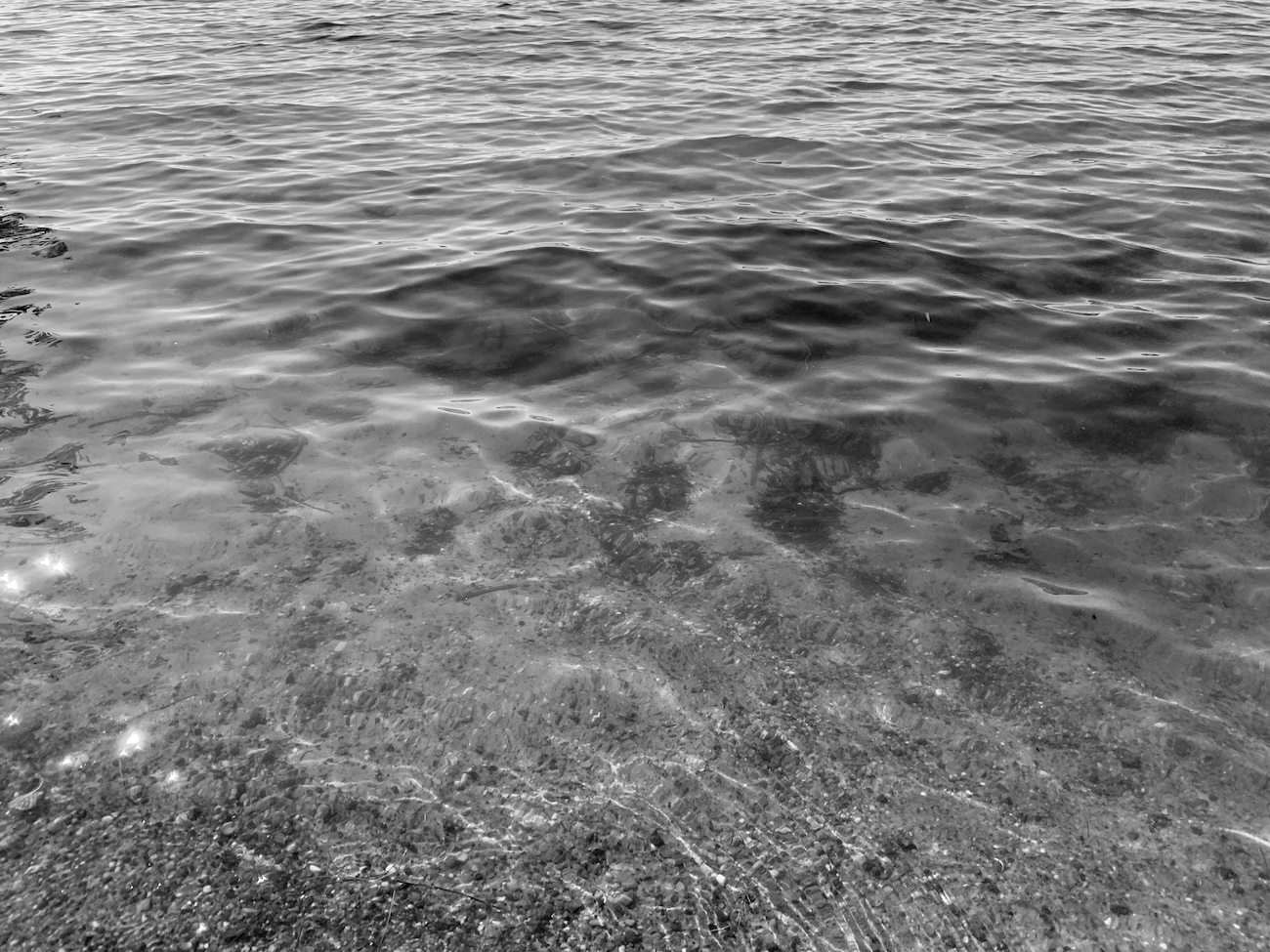 Blog.Tag3 .IMG 0678